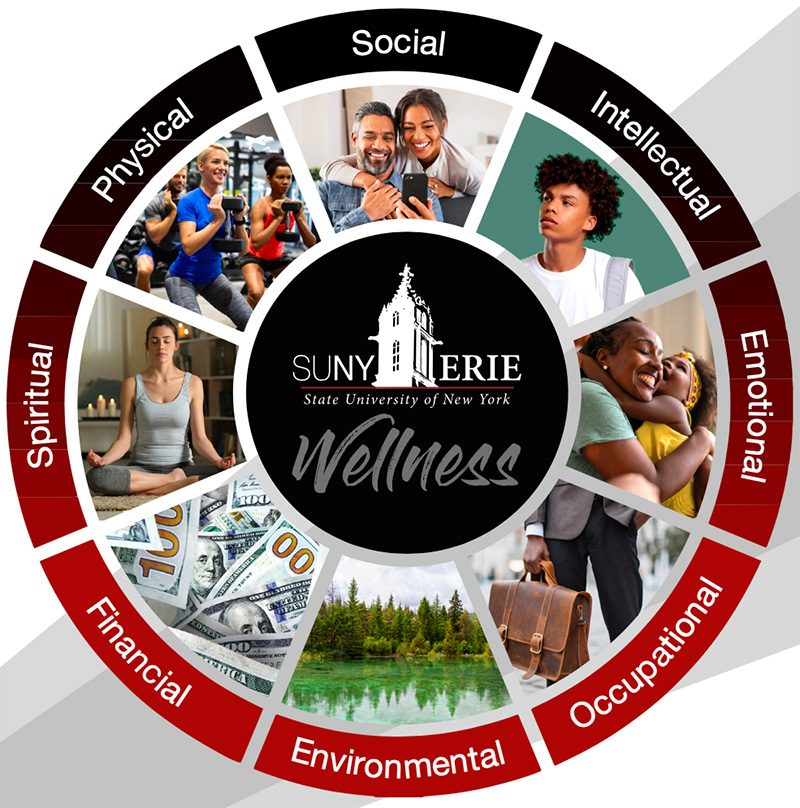 Erie Connects Wellness Wheel Erie Connects Wellness Wheel with categories (spiritual, physical, social, intellectual, emotional, occupational, environmental, financial)
